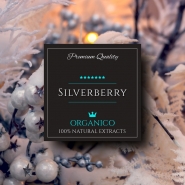Lichid Organico Silverberry Shortfill 60ml, 40ml Lichid Extra Aromat, Extracte si Arome Naturale Organice, Premium, HouseOfLiquid UK